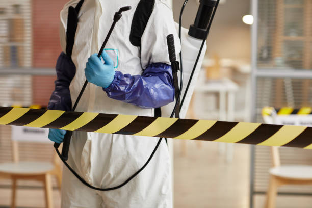 Professional Sewage Cleanup technician working in Dayton, KY